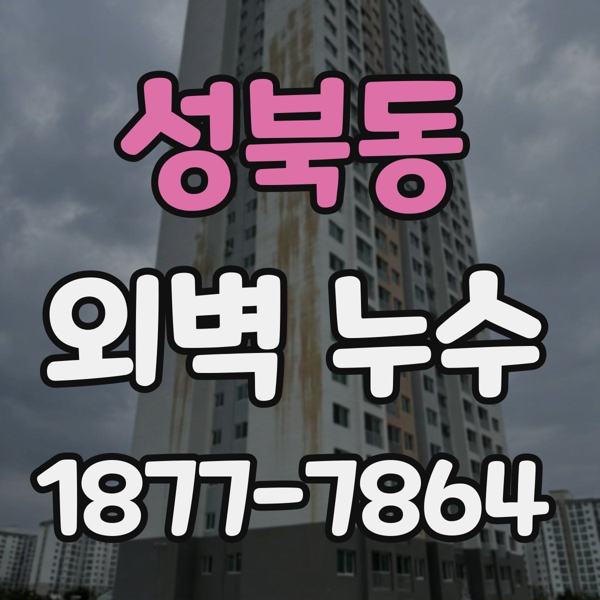 성북동 외벽 누수