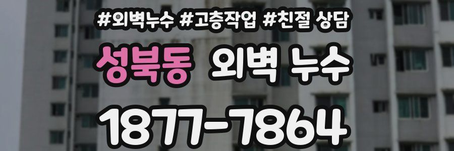 성북동 외벽 누수