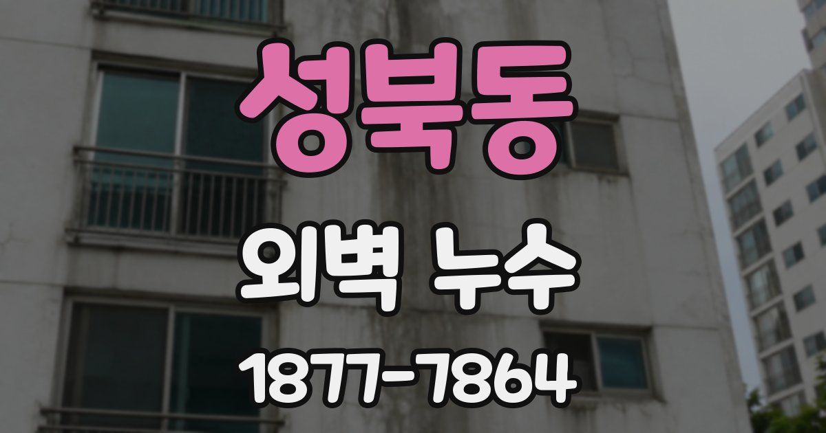 성북동 외벽 누수