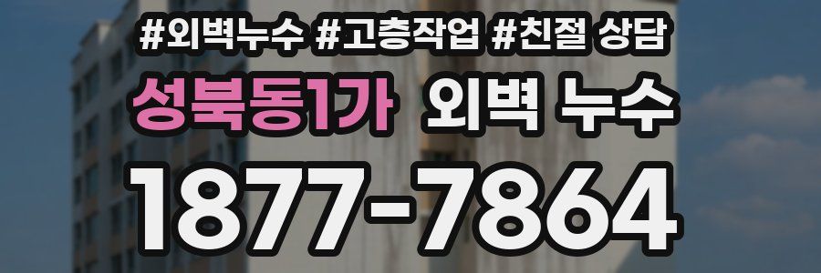 성북동1가 외벽 누수