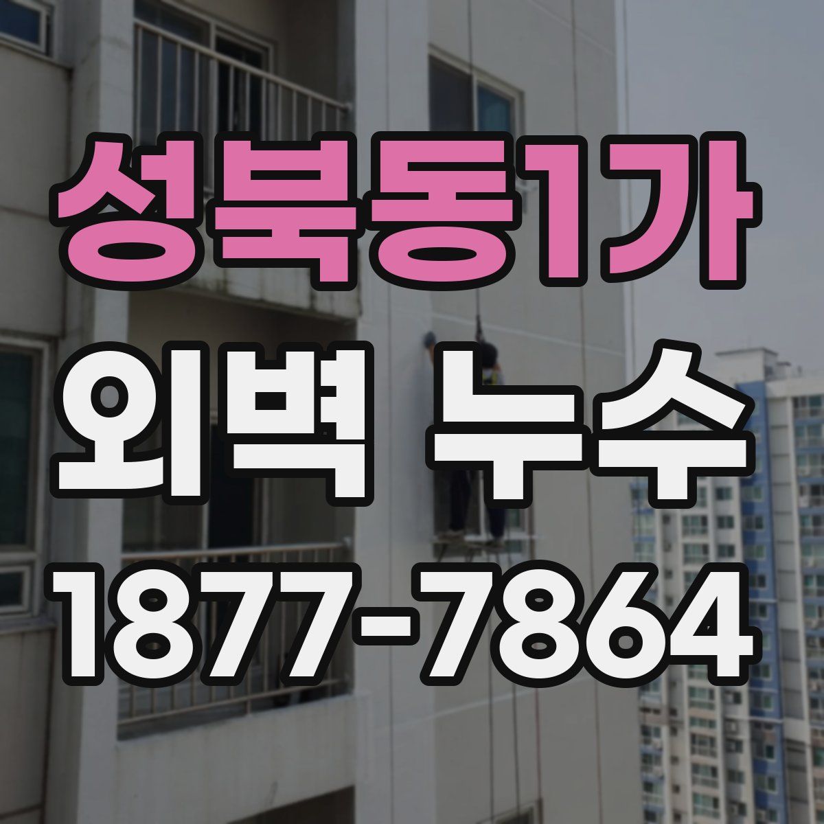 성북동1가 외벽 누수