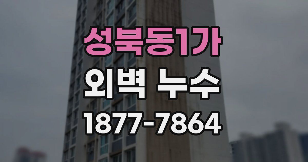 성북동1가 외벽 누수