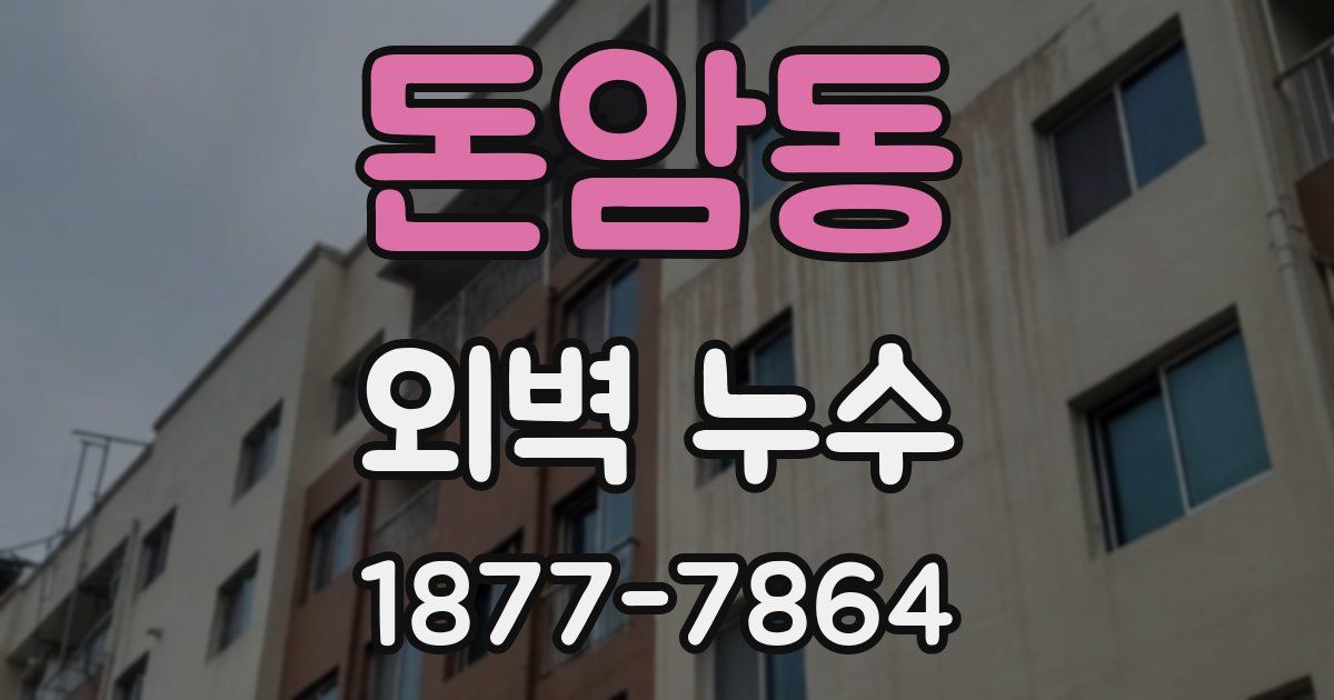 돈암동 외벽 누수