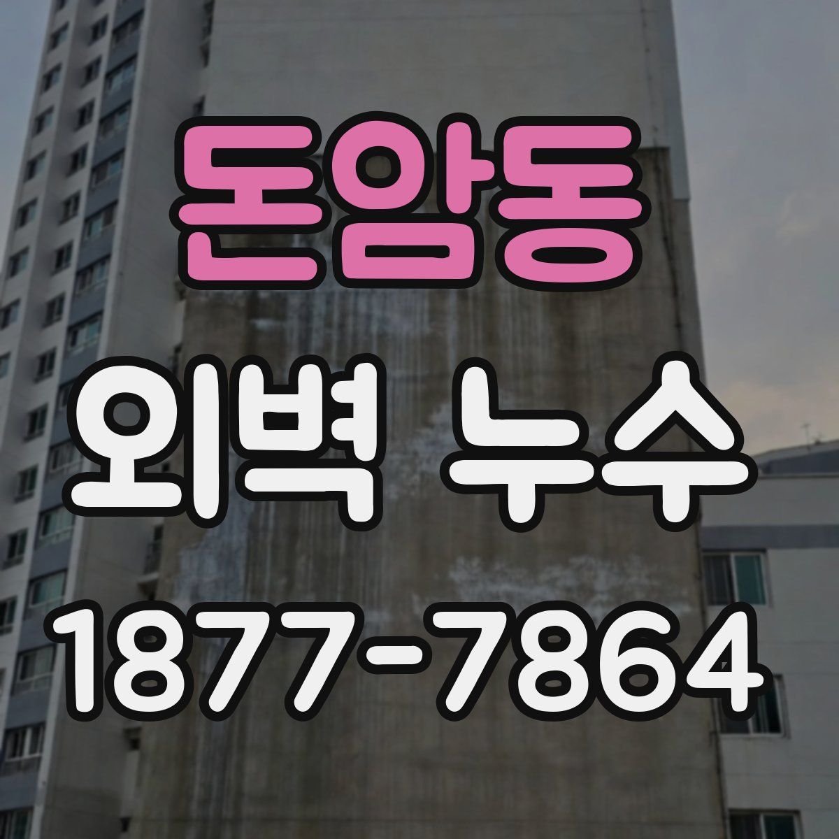 돈암동 외벽 누수