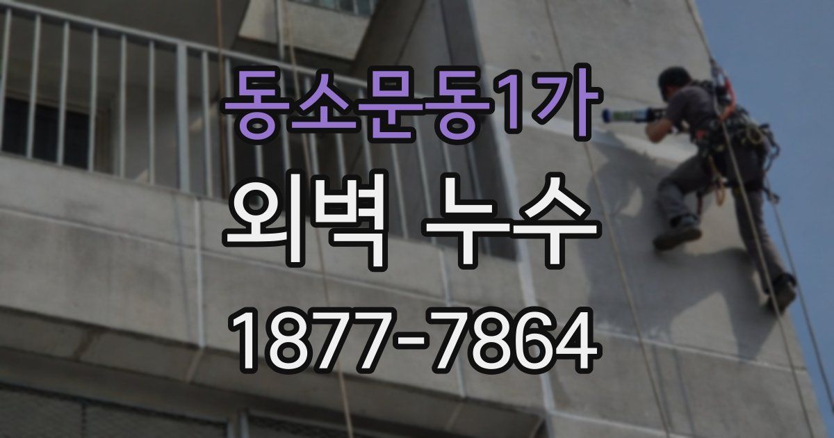 동소문동1가 외벽 누수
