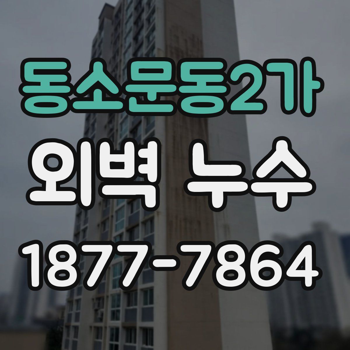 동소문동2가 외벽 누수