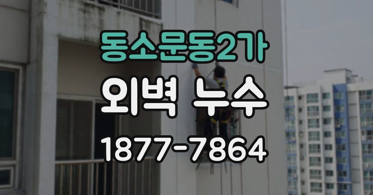 동소문동2가 외벽 누수
