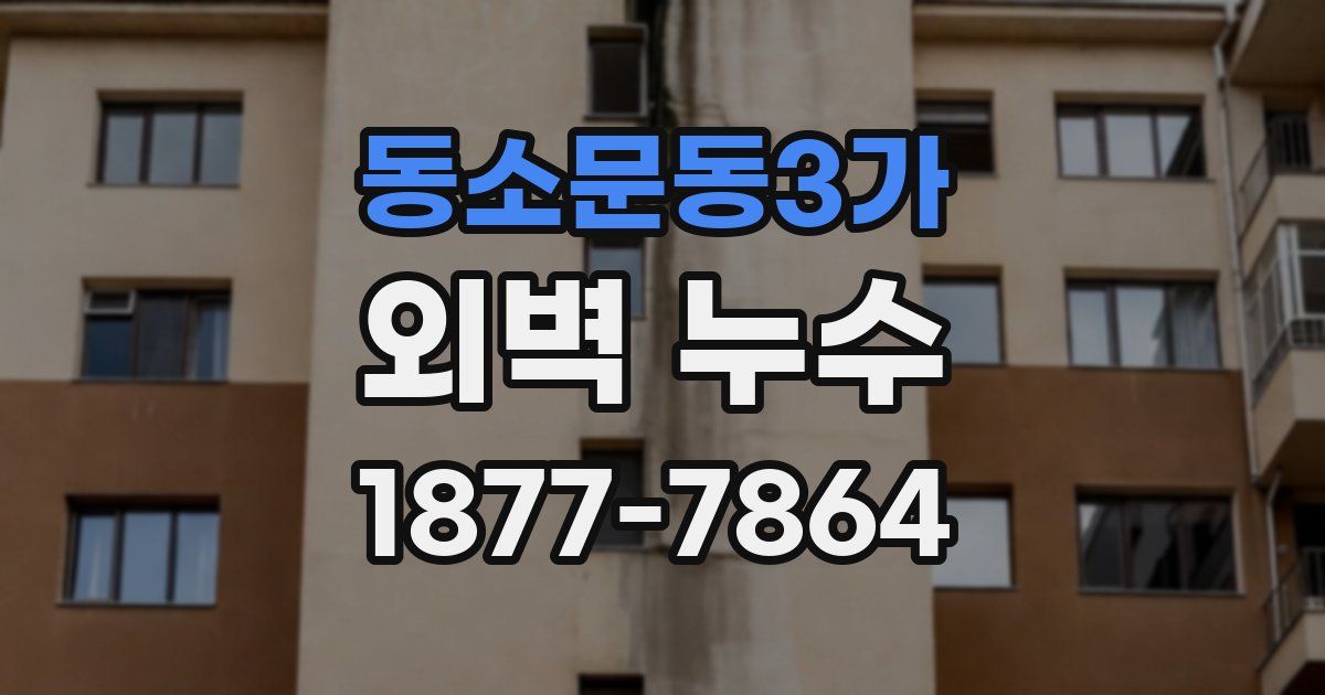 동소문동3가 외벽 누수
