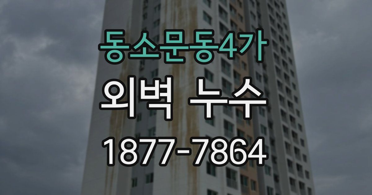 동소문동4가 외벽 누수