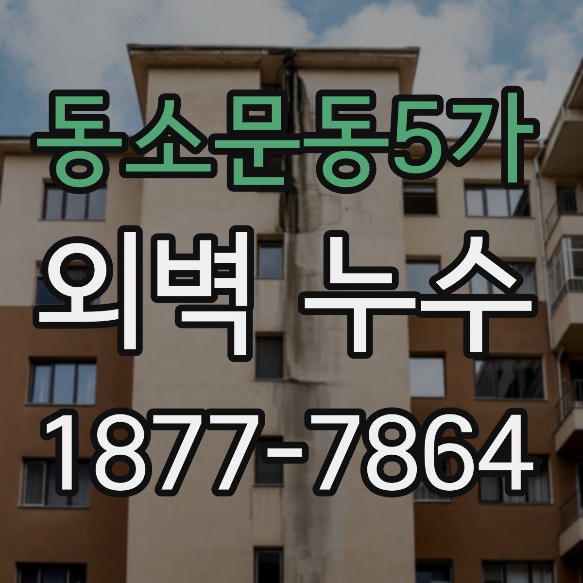 동소문동5가 외벽 누수