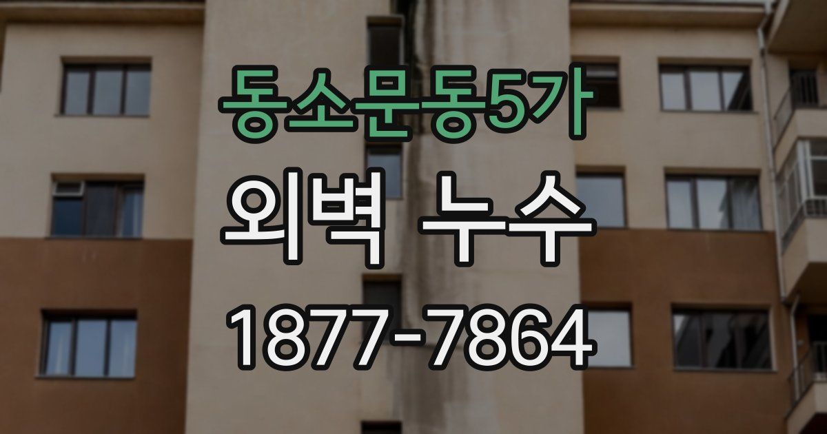동소문동5가 외벽 누수