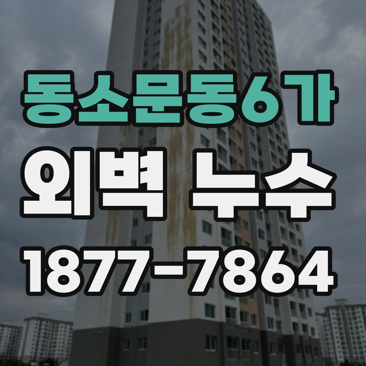 동소문동6가 외벽 누수