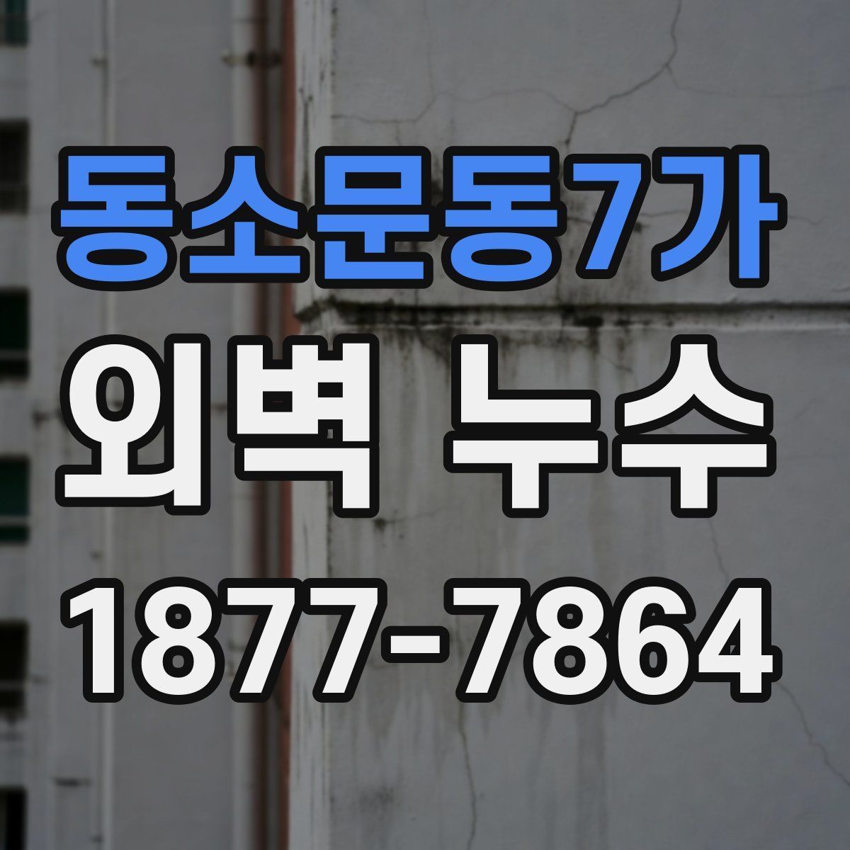 동소문동7가 외벽 누수