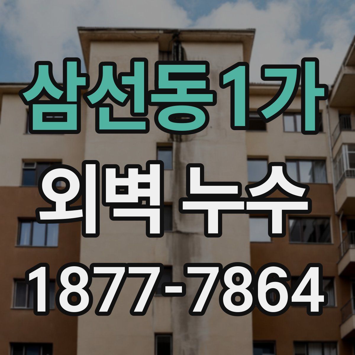 삼선동1가 외벽 누수