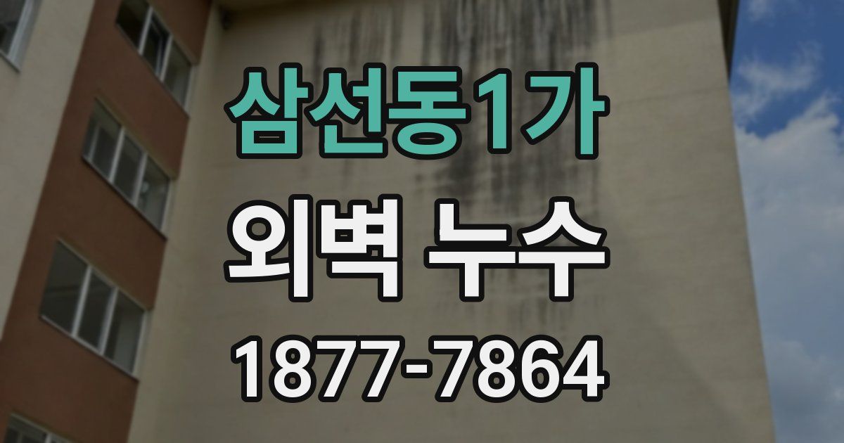 삼선동1가 외벽 누수