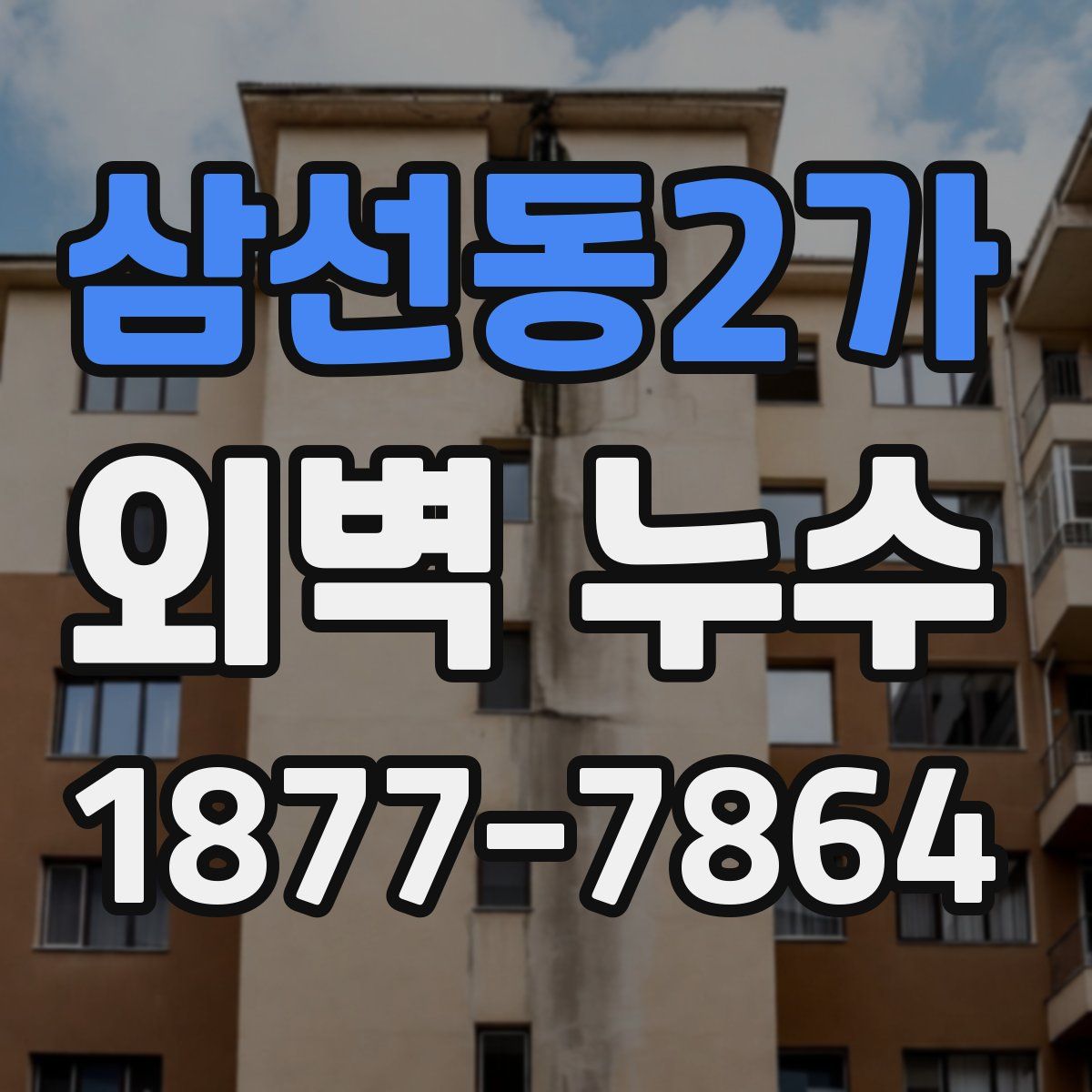 삼선동2가 외벽 누수