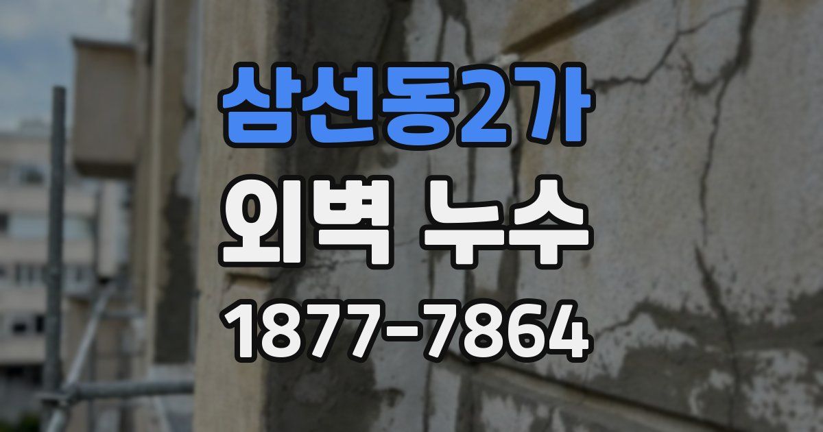 삼선동2가 외벽 누수