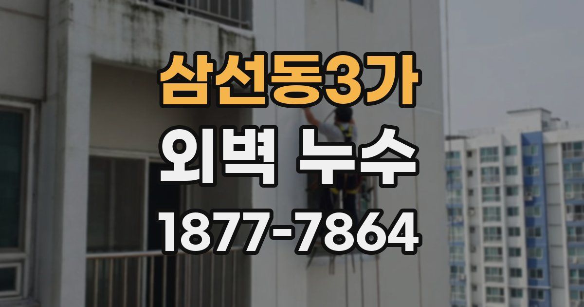 삼선동3가 외벽 누수