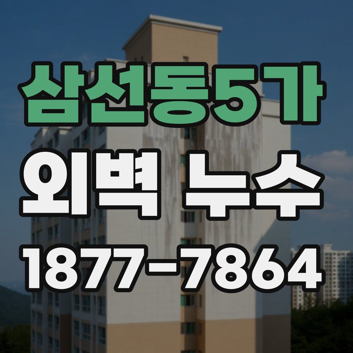 삼선동5가 외벽 누수