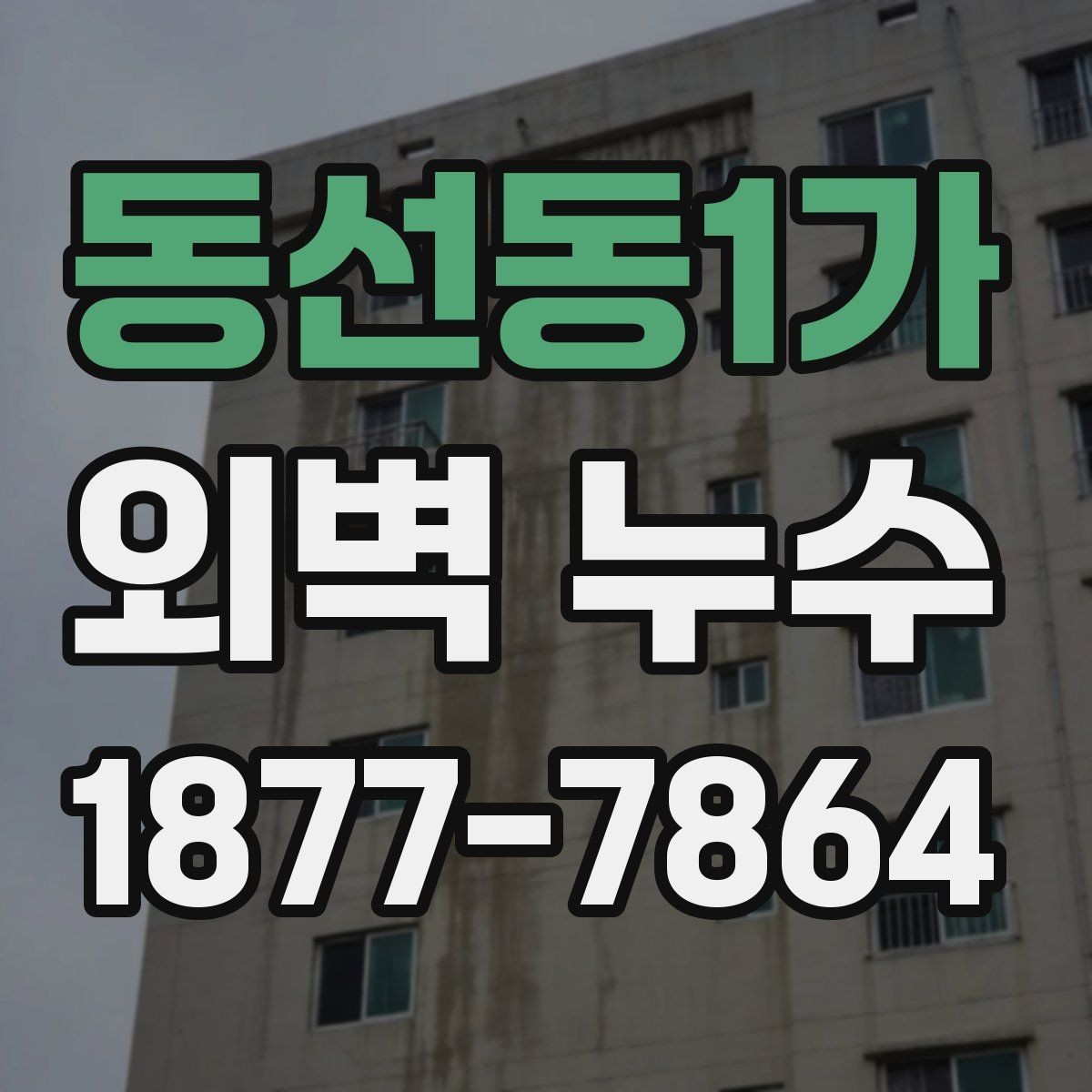 동선동1가 외벽 누수 확인을 위한 실내외 점검 항목