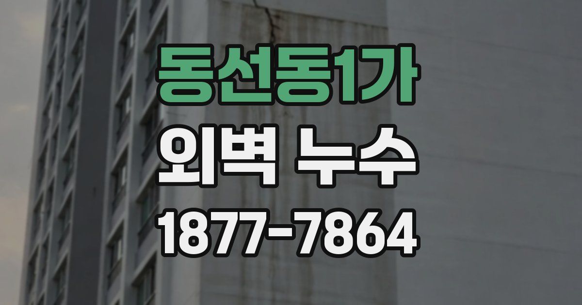 동선동1가 외벽 누수