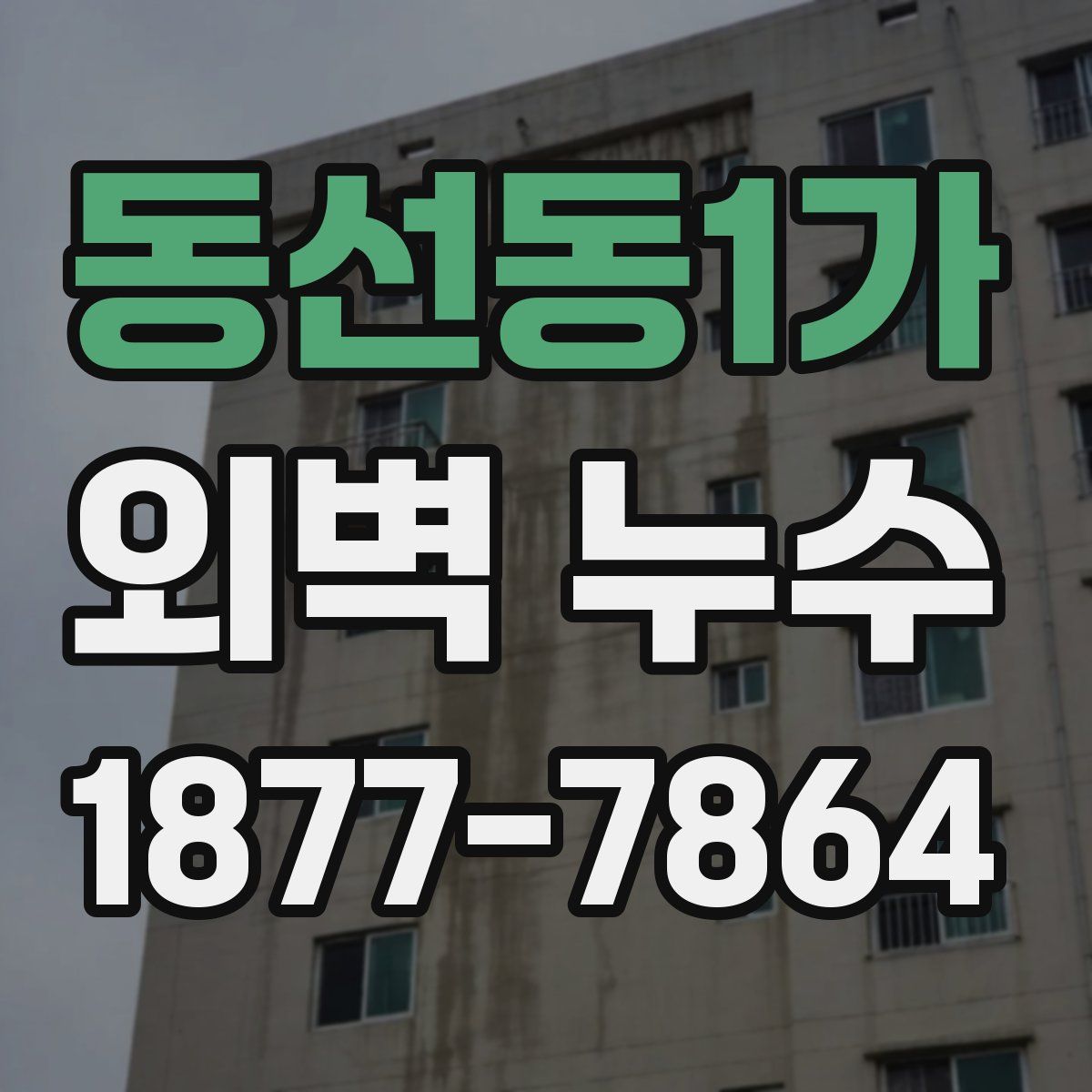 동선동1가 외벽 누수