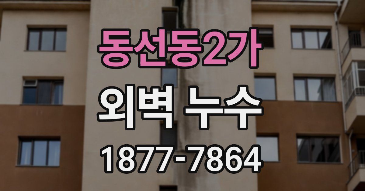 동선동2가 외벽 누수