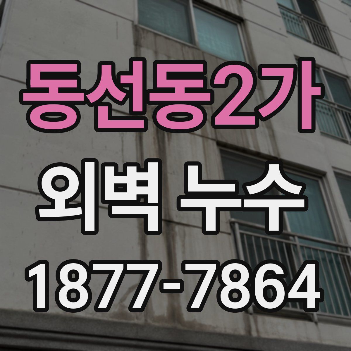 동선동2가 외벽 누수