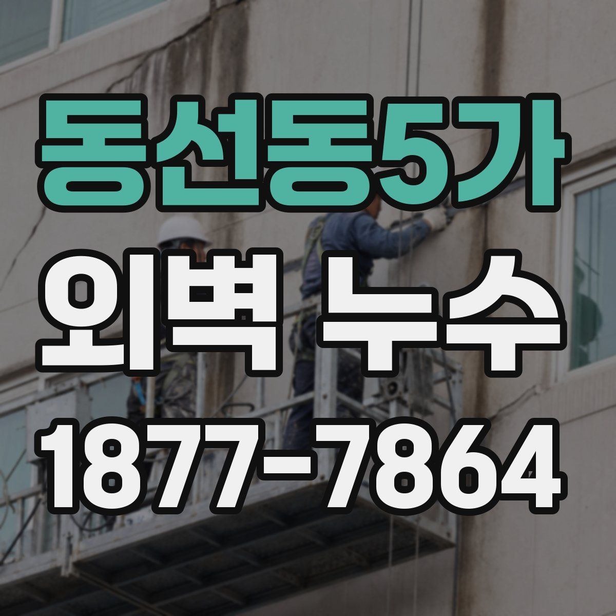 동선동5가 외벽 누수