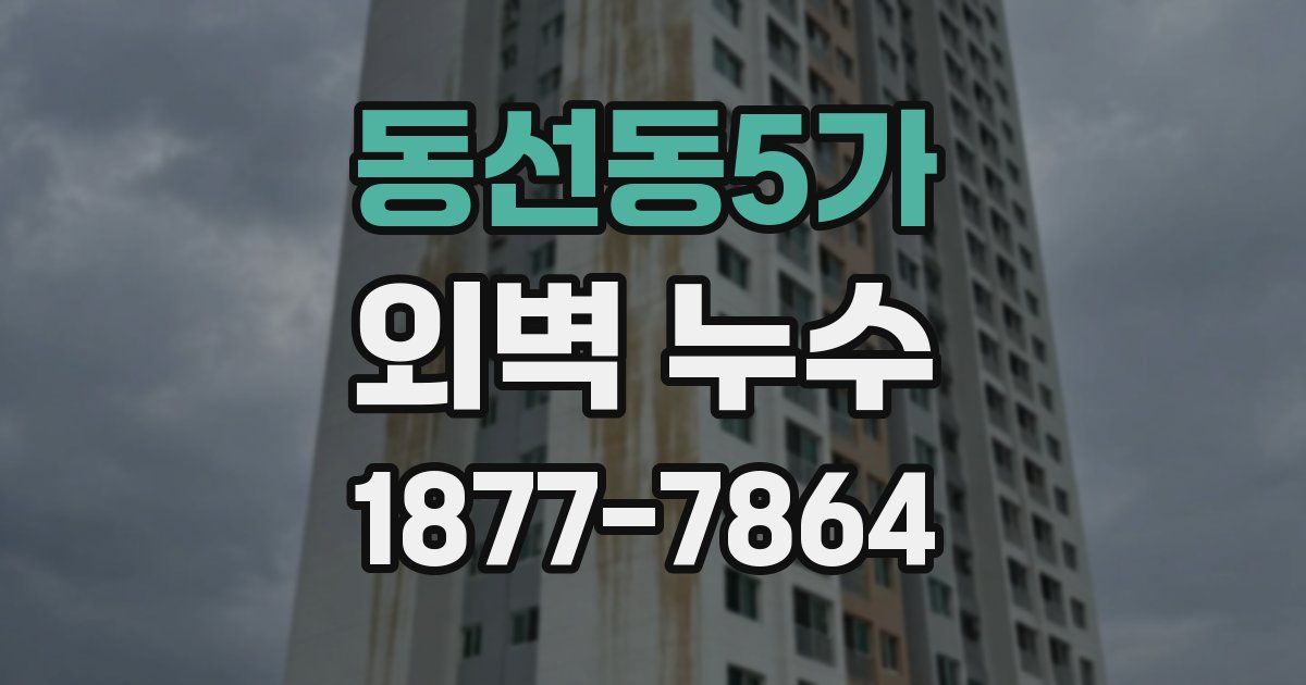 동선동5가 외벽 누수
