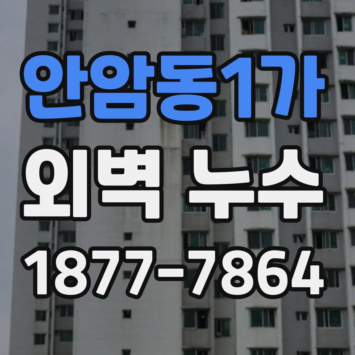안암동1가 외벽 누수