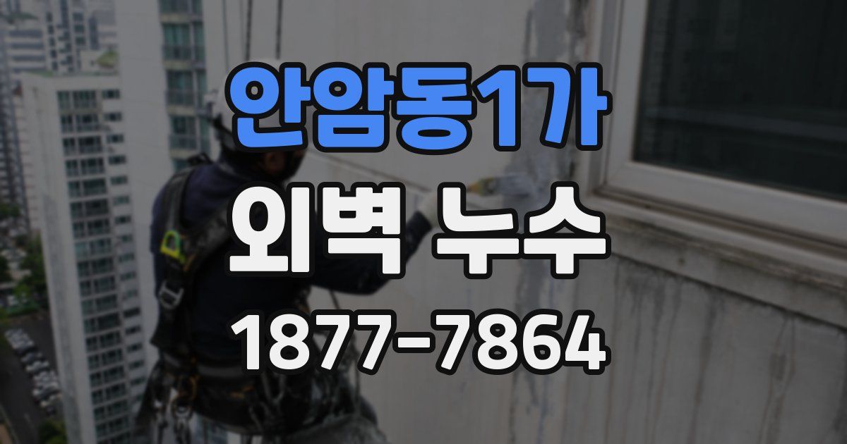 안암동1가 외벽 누수