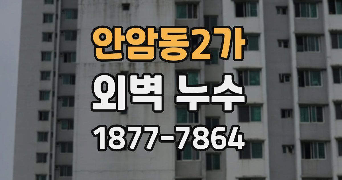 안암동2가 외벽 누수