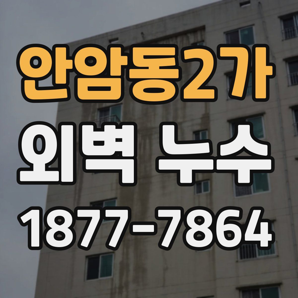 안암동2가 외벽 누수
