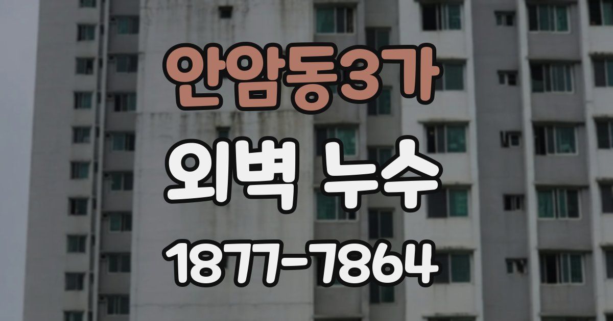 안암동3가 외벽 누수