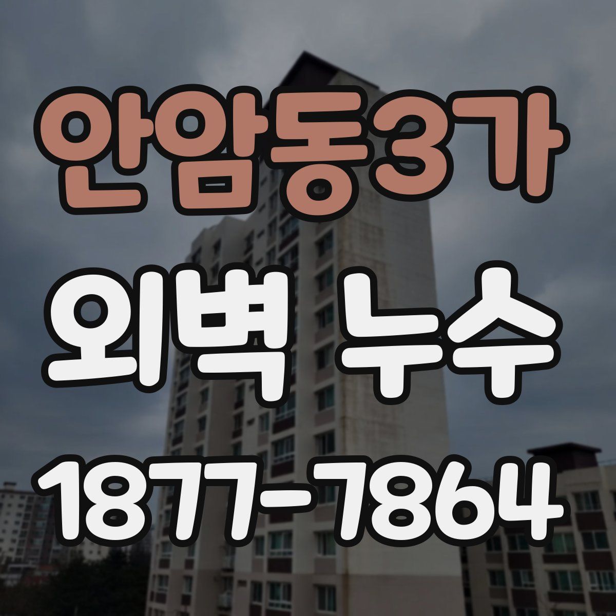 안암동3가 외벽 누수