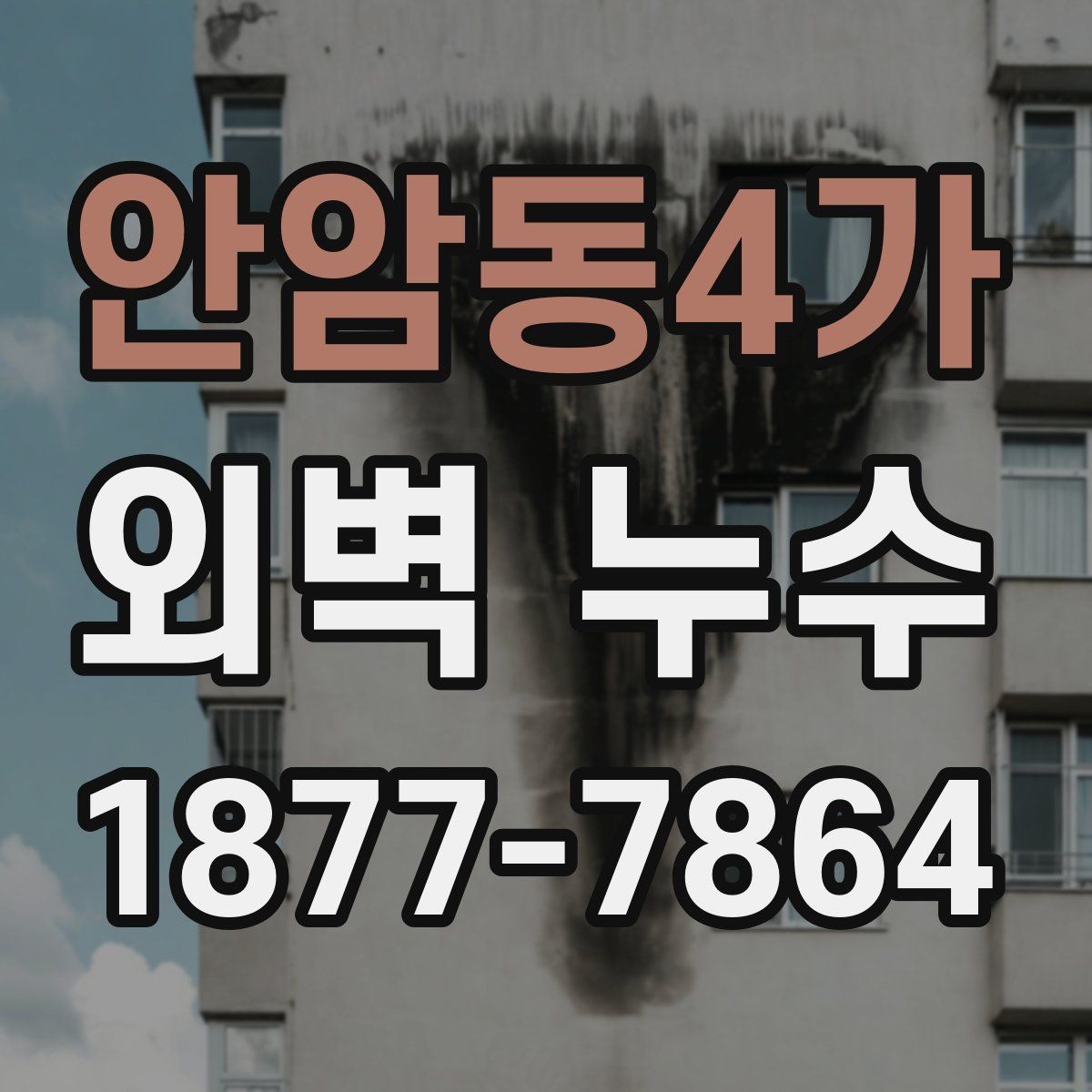 안암동4가 외벽 누수 발생 후 임시조치 방법