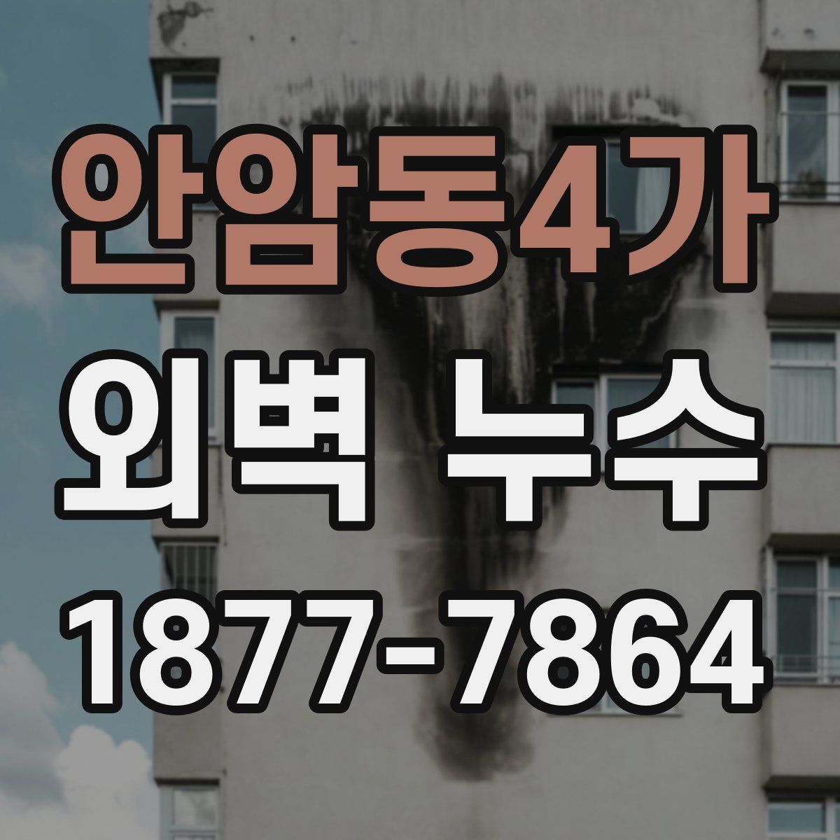 안암동4가 외벽 누수