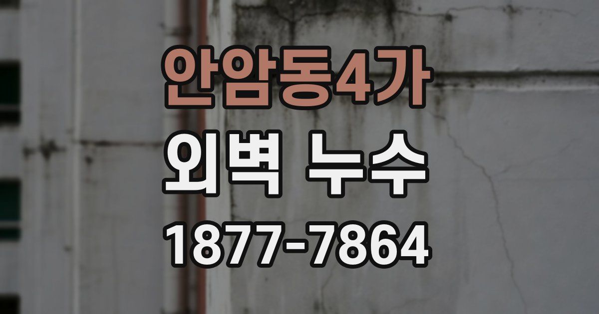 안암동4가 외벽 누수