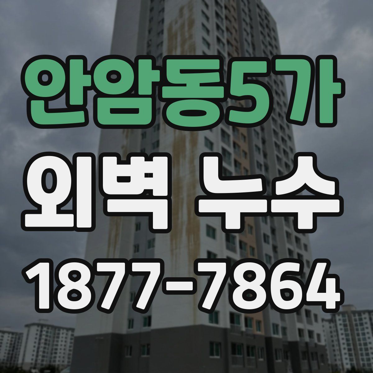 안암동5가 외벽 누수