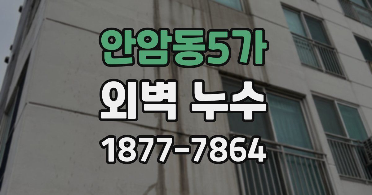 안암동5가 외벽 누수