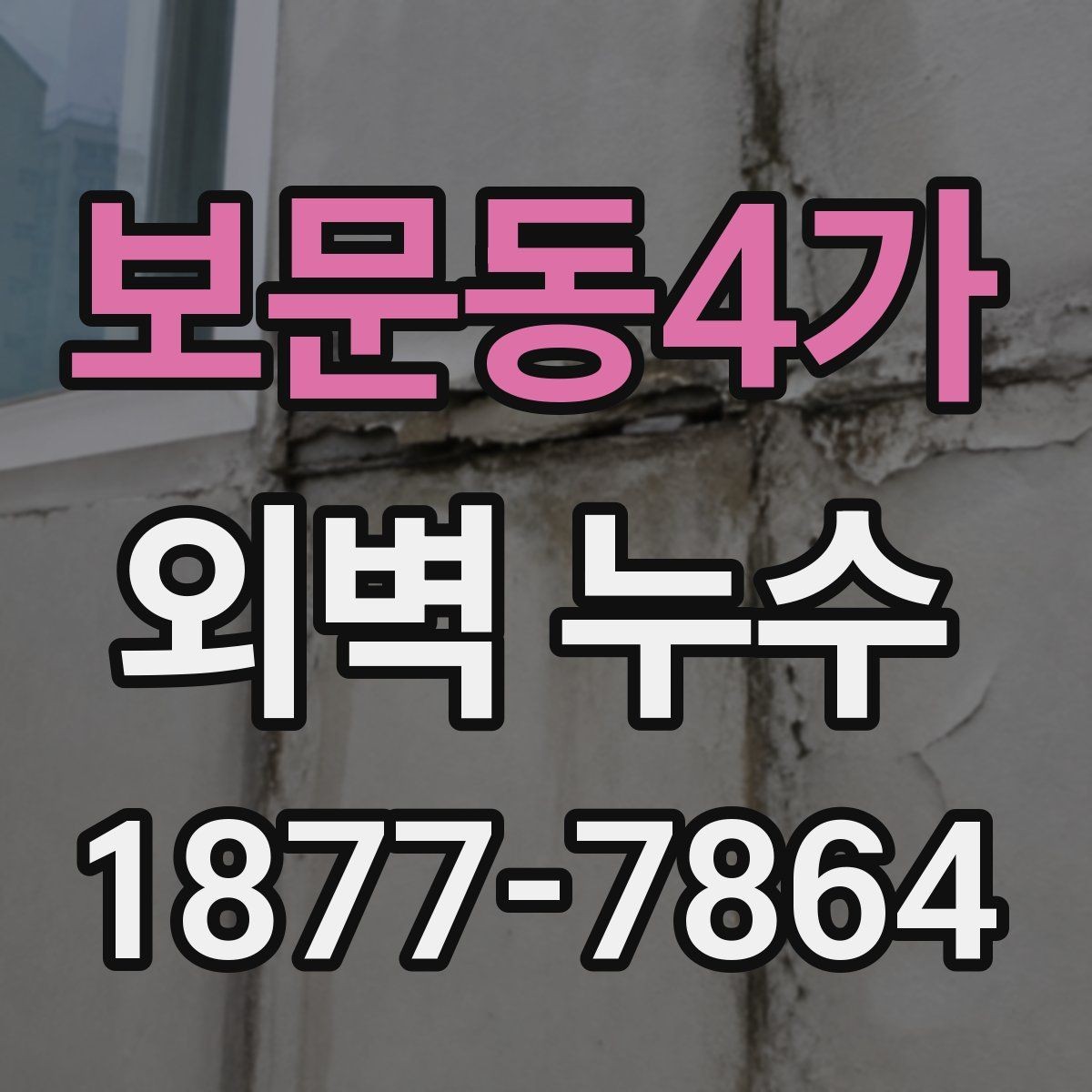보문동4가 외벽 누수 보수 시기와 판단 기준
