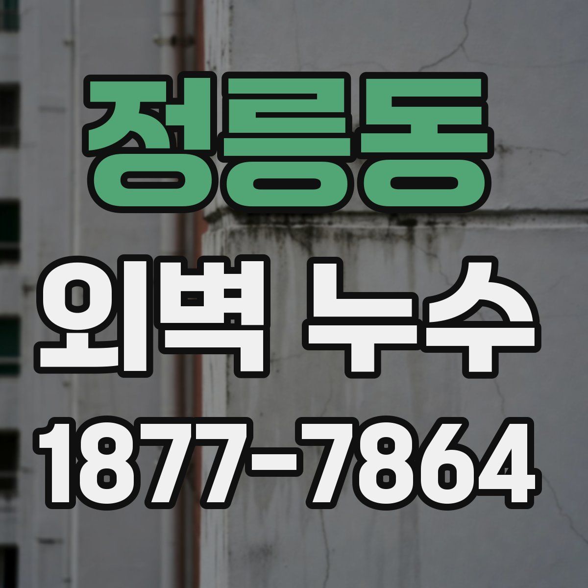정릉동 외벽 누수