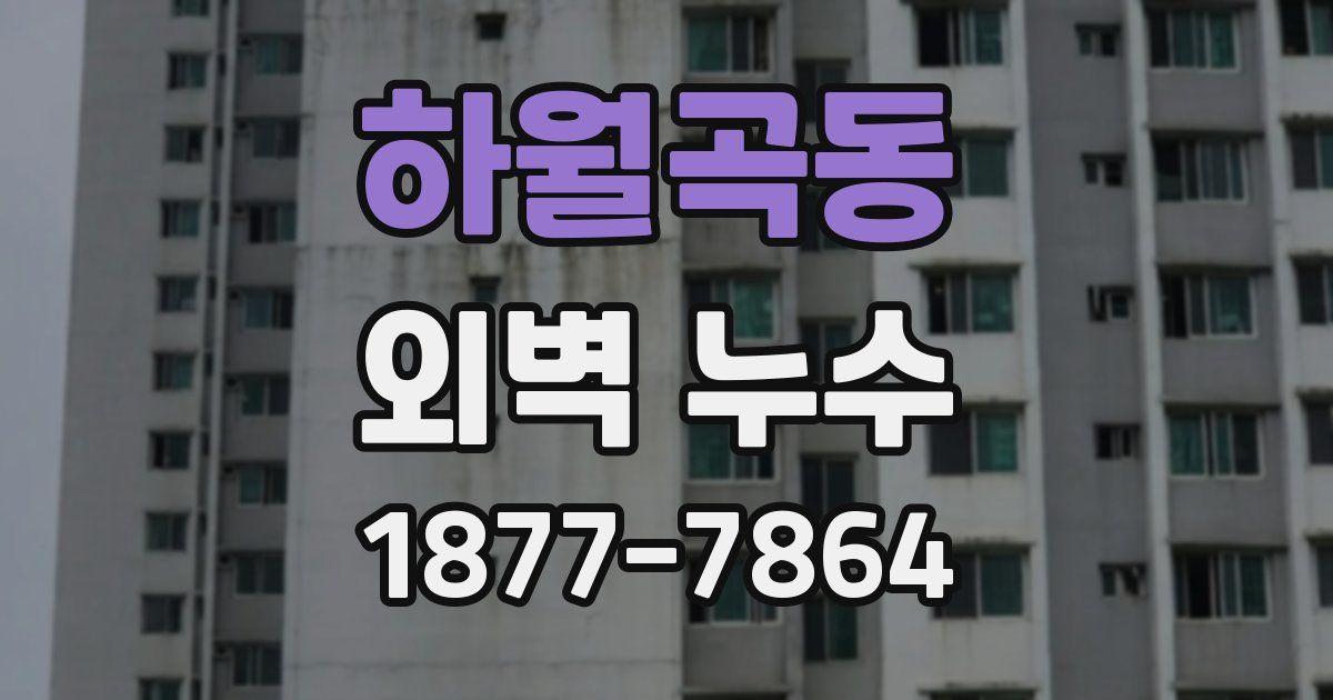하월곡동 외벽 누수