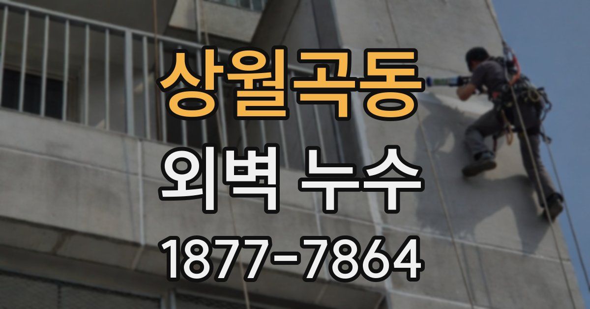 상월곡동 외벽 누수