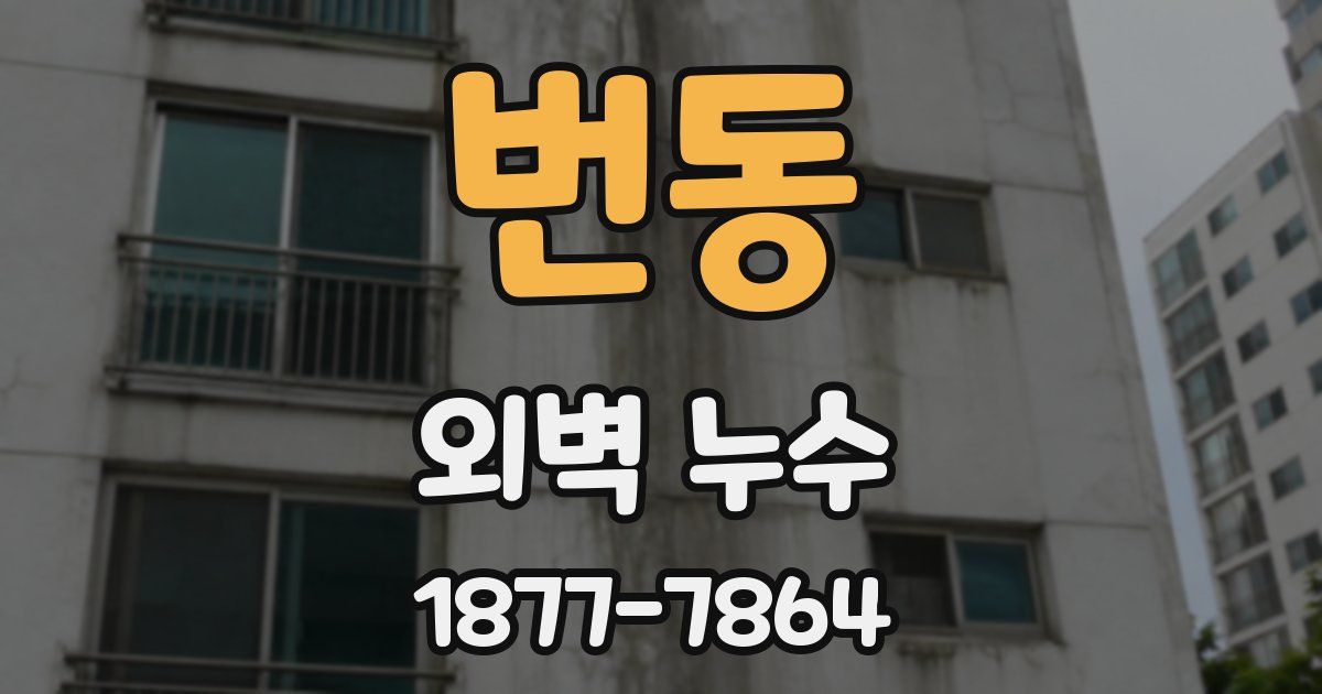 번동 외벽 누수