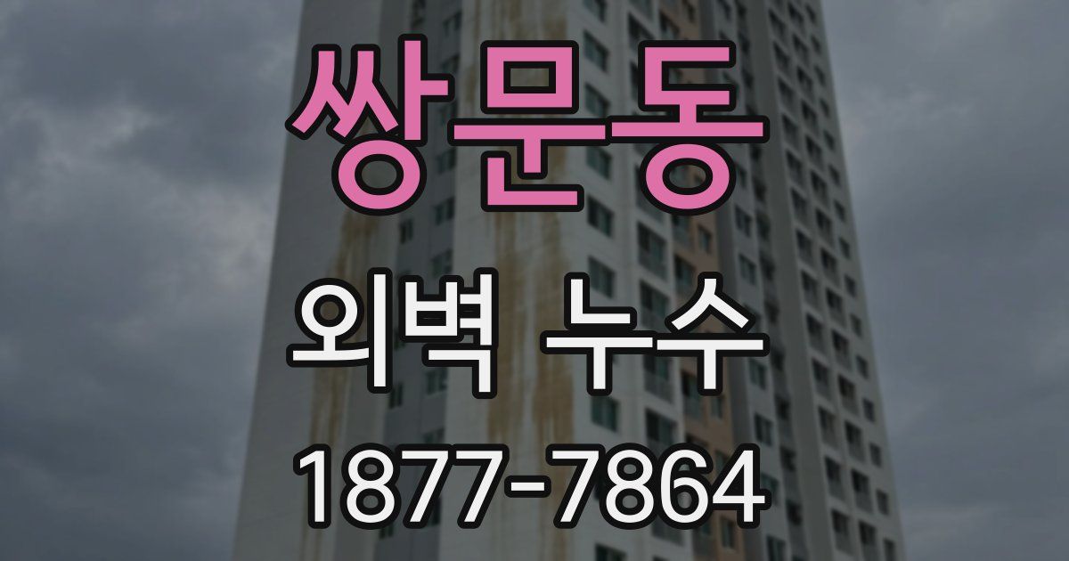 쌍문동 외벽 누수