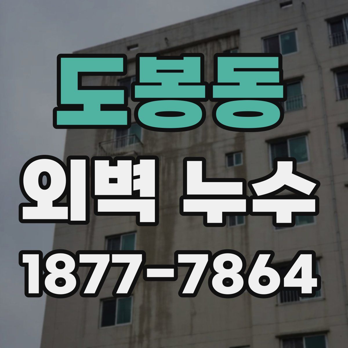 도봉동 외벽 누수