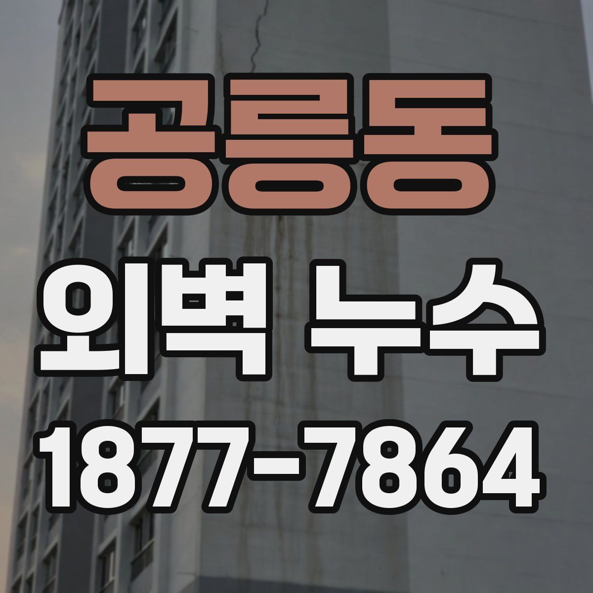 공릉동 외벽 누수
