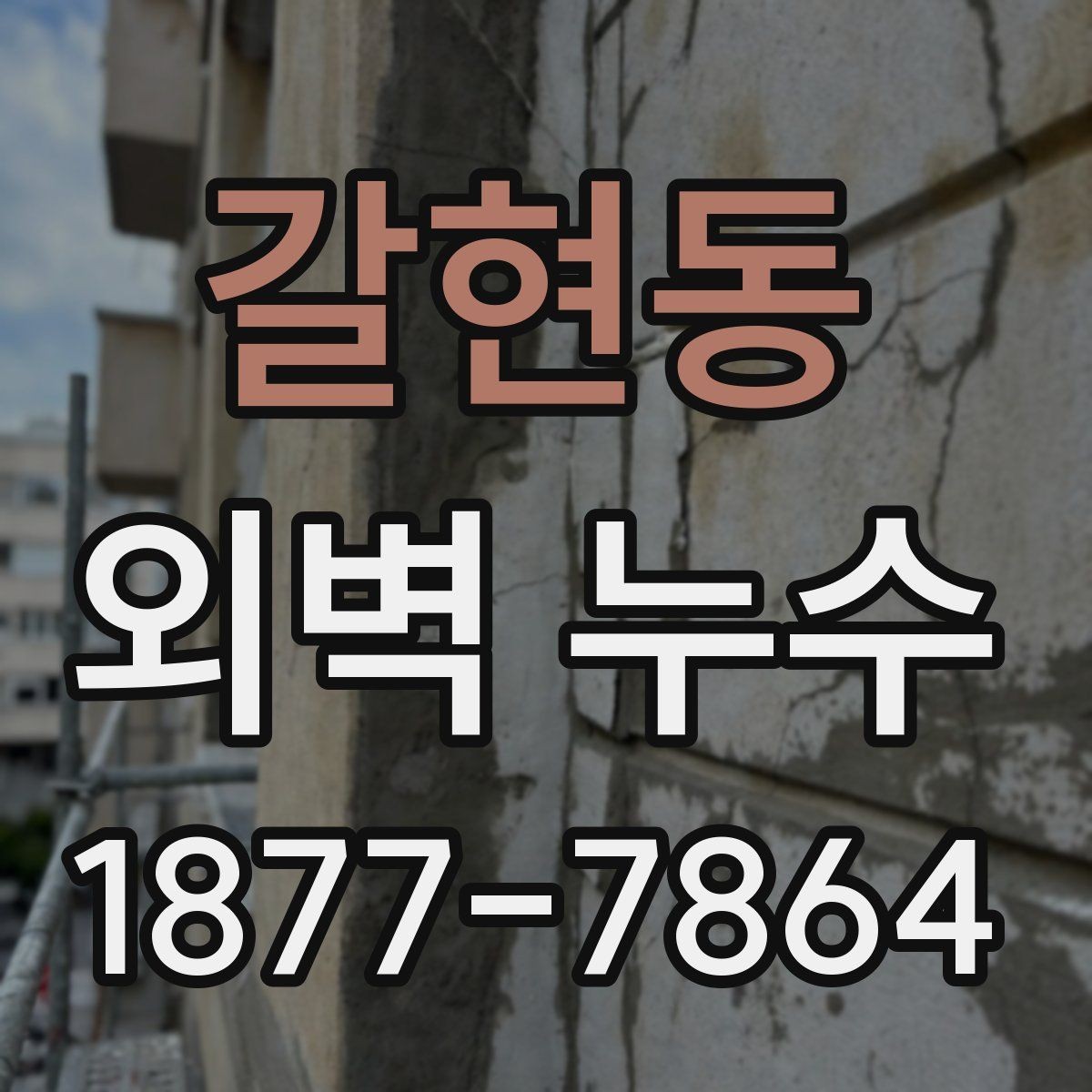 갈현동 외벽 누수 보수 일정 잡을 때 고려할 점